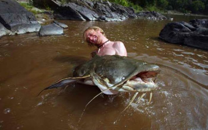 Самые опасные рыбы в мире Самые опасные рыбы в мире