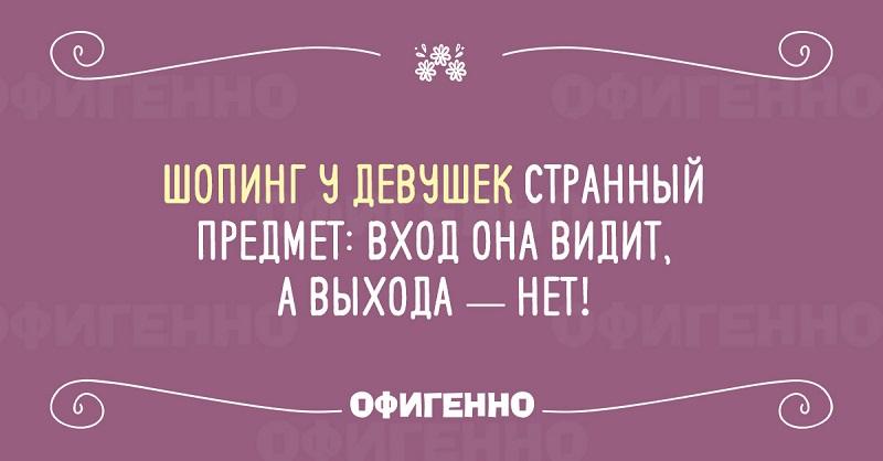 Тонкий юмор о любимом занятии прекрасной половины Тонкий юмор о любимом занятии прекрасной половины
