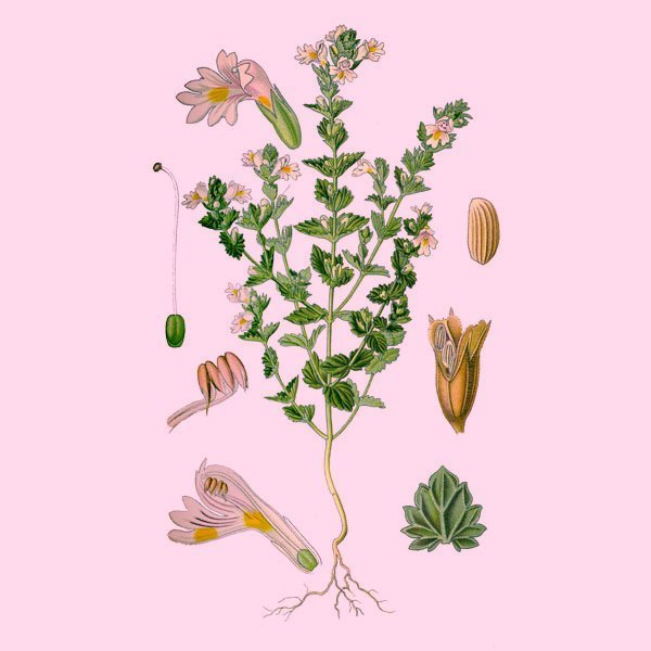 Она сделала это, чтобы избавиться от воспаления глаз… Средство, способное вернуть зрение. Она сделала это, чтобы избавиться от воспаления глаз… Средство, способное вернуть зрение.