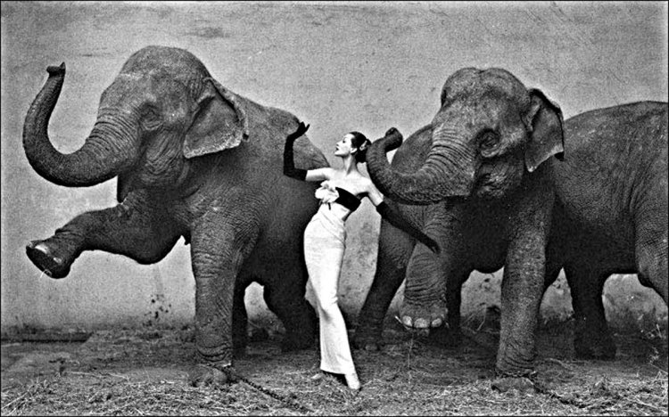 Классик фотоискусства Ричард Аведон Классик фотоискусства Ричард Аведон