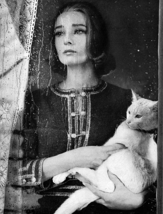 Классик фотоискусства Ричард Аведон Классик фотоискусства Ричард Аведон