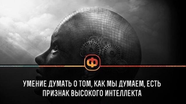 Короткие и любопытные факты обо всем на свете Короткие и любопытные факты обо всем на свете