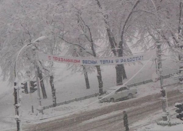 Весна опять пришла (21 фото) Весна опять пришла (21 фото)