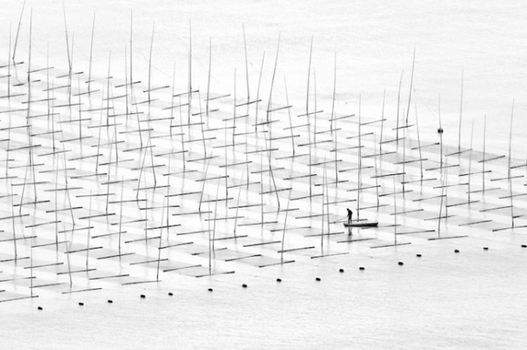 Лучшие снимки международного фотоконкурса Sony World Photography Awards 2016 Лучшие снимки международного фотоконкурса Sony World Photography Awards 2016