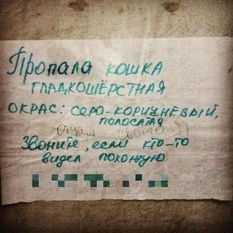 Солидарные соседи Солидарные соседи