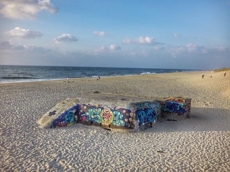 Панорамные снимки с высоты птичьего полета, сделанные дроном Панорамные снимки с высоты птичьего полета, сделанные дроном