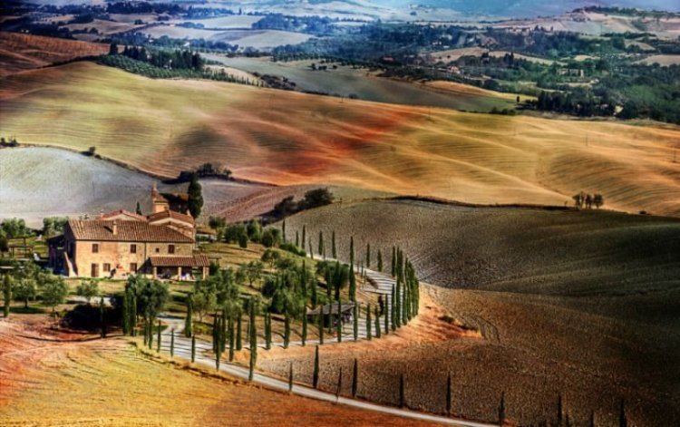 Удивительные леса и рощи Удивительные леса и рощи