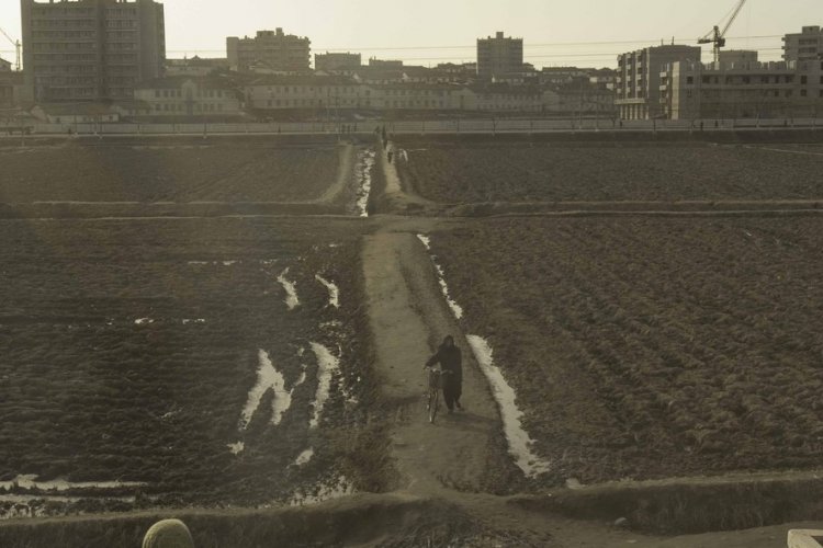 Снимки из Северной Кореи которые сфотографированы и вывезены из страны тайно Снимки из Северной Кореи которые сфотографированы и вывезены из страны тайно