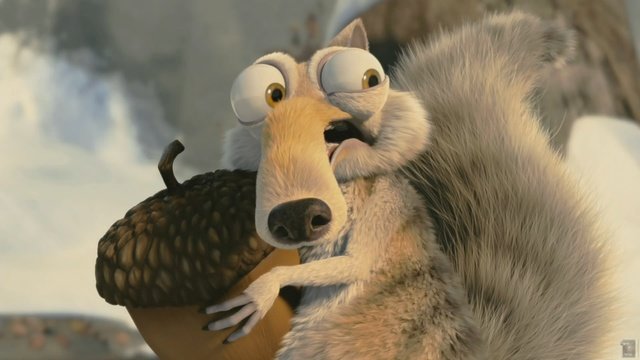 Удивительные факты о животных Удивительные факты о животных
