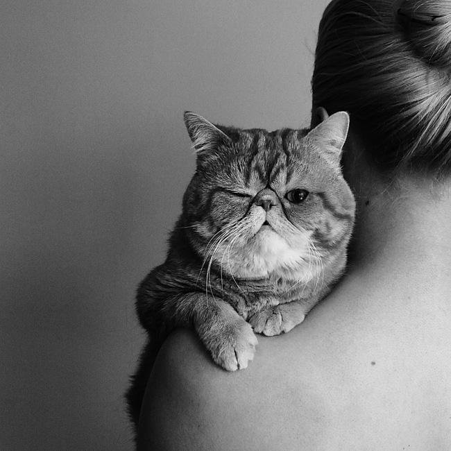 Классные фотографии любительниц кошек со своими питомцами Классные фотографии любительниц кошек со своими питомцами