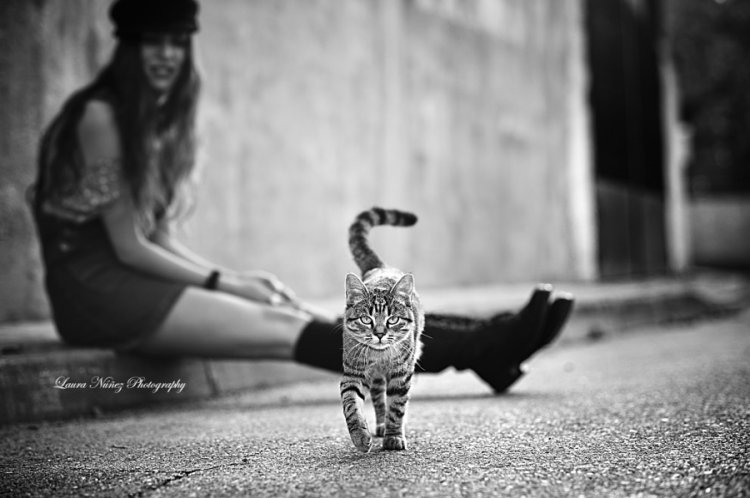 Классные фотографии любительниц кошек со своими питомцами Классные фотографии любительниц кошек со своими питомцами