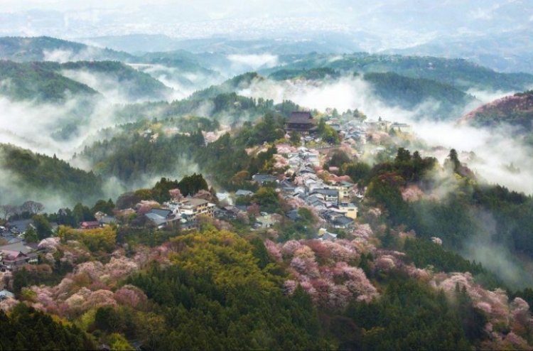 Природные чудеса Японии Природные чудеса Японии