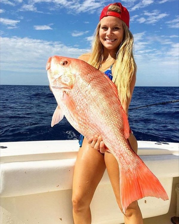 Новый тренд Instagram: fishbras Новый тренд Instagram: fishbras