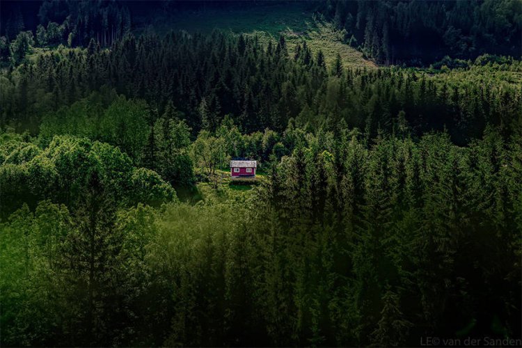 Небольшие уютные домики в лесу Небольшие уютные домики в лесу