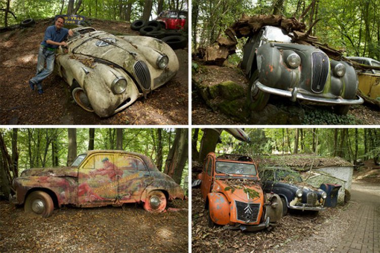 50 старинных автомобилей в лесу 50 старинных автомобилей в лесу