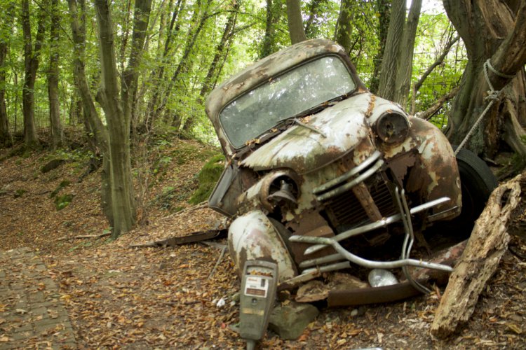 50 старинных автомобилей в лесу 50 старинных автомобилей в лесу