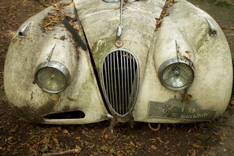 50 старинных автомобилей в лесу 50 старинных автомобилей в лесу