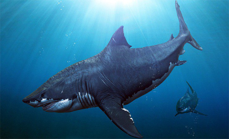 Самые свирепые морские динозавры Самые свирепые морские динозавры