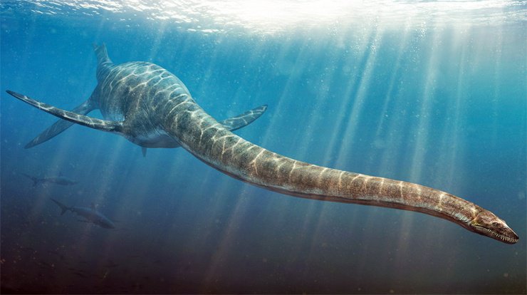 Самые свирепые морские динозавры Самые свирепые морские динозавры