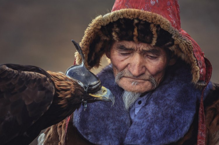 Охота с беркутом в Монголии на «Golden Eagle Festival» Охота с беркутом в Монголии на «Golden Eagle Festival»