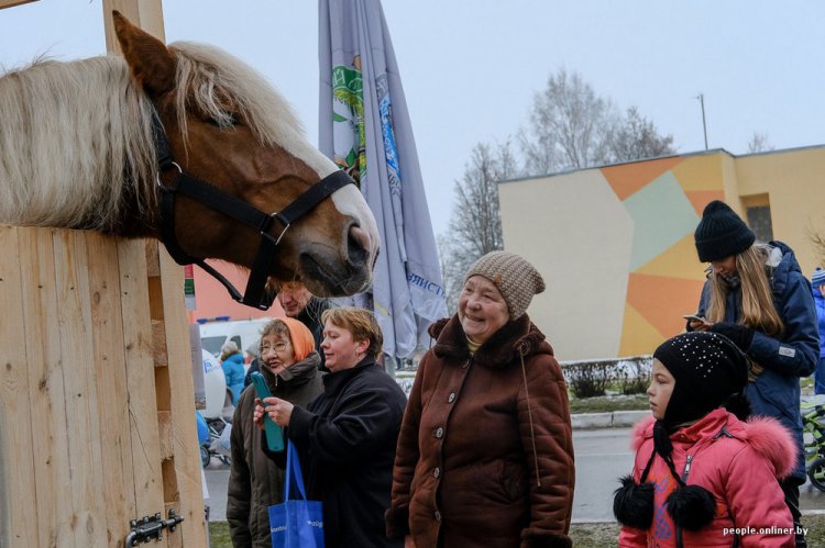 Фоторепортаж с дожинок в Логойске Фоторепортаж с дожинок в Логойске