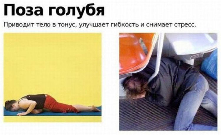 Освоить Йогу может каждый (18 фото) Освоить Йогу может каждый (18 фото)