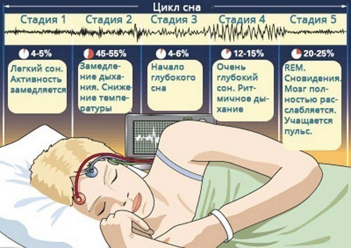 Любопытные факты о снах Любопытные факты о снах