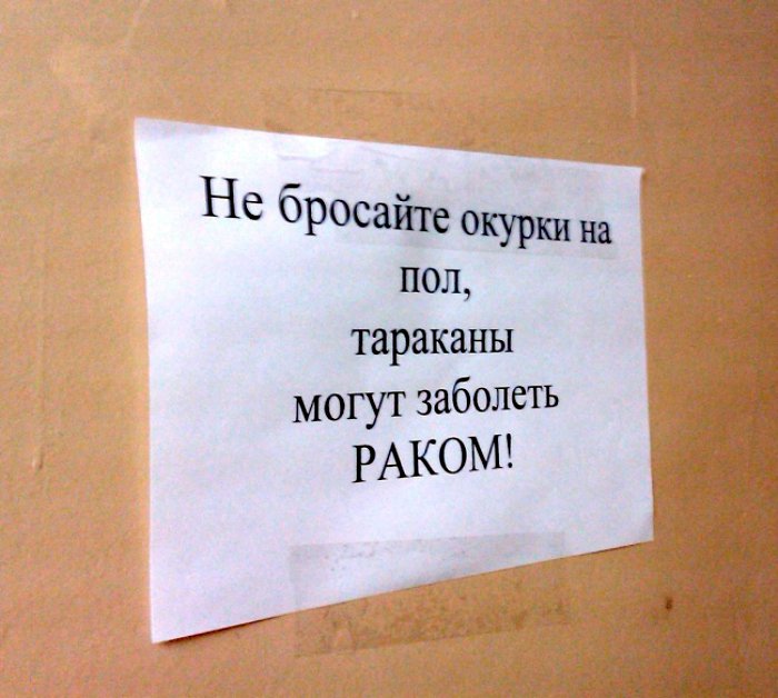 25 убойных фото о всех прелестях жизни в студенческих общагах 25 убойных фото о всех прелестях жизни в студенческих общагах
