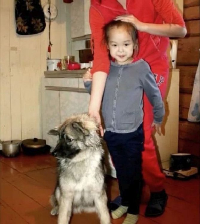 Эта 3-летняя малышка 11 дней блуждала по дикому лесу. Вот, кто все время был с ней (видео, фото) Эта 3-летняя малышка 11 дней блуждала по дикому лесу. Вот, кто все время был с ней (видео, фото)