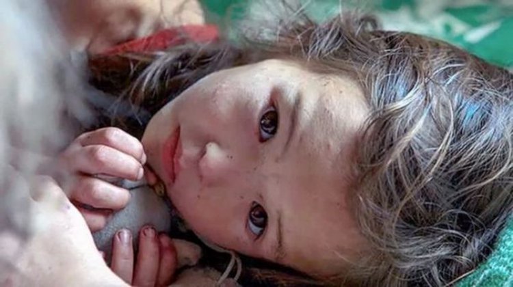 Эта 3-летняя малышка 11 дней блуждала по дикому лесу. Вот, кто все время был с ней (видео, фото) Эта 3-летняя малышка 11 дней блуждала по дикому лесу. Вот, кто все время был с ней (видео, фото)