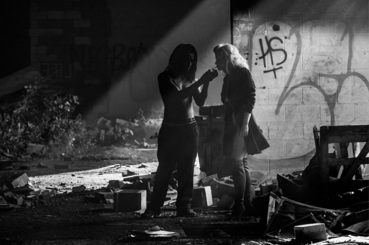 Фотограф Дэвид Ярроу: «Дикие встречи» Фотограф Дэвид Ярроу: «Дикие встречи»
