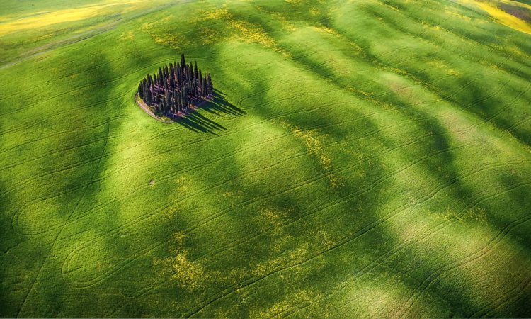 Лучшие фотографии, снятые с дронов Лучшие фотографии, снятые с дронов