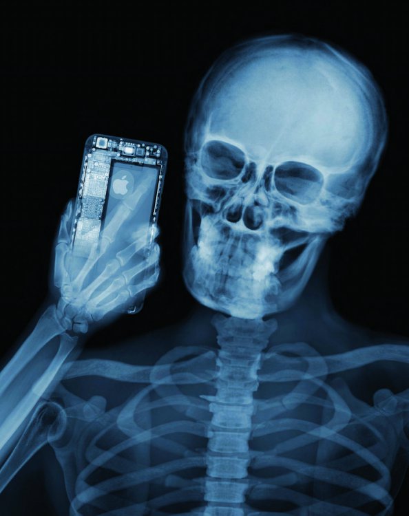 Удивительные рентгеновские фотографии Ника Визи Удивительные рентгеновские фотографии Ника Визи