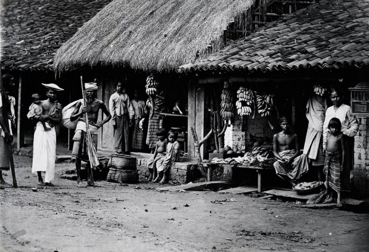 Редчайшие снимки повседневной жизни Шри-Ланки в 1880-х годах Редчайшие снимки повседневной жизни Шри-Ланки в 1880-х годах