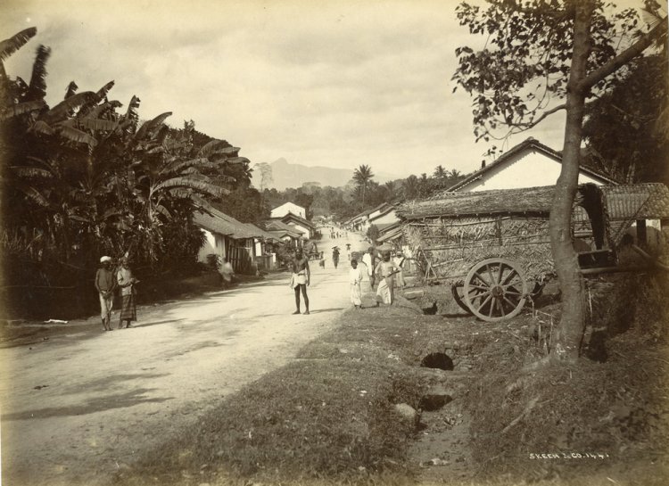 Редчайшие снимки повседневной жизни Шри-Ланки в 1880-х годах Редчайшие снимки повседневной жизни Шри-Ланки в 1880-х годах